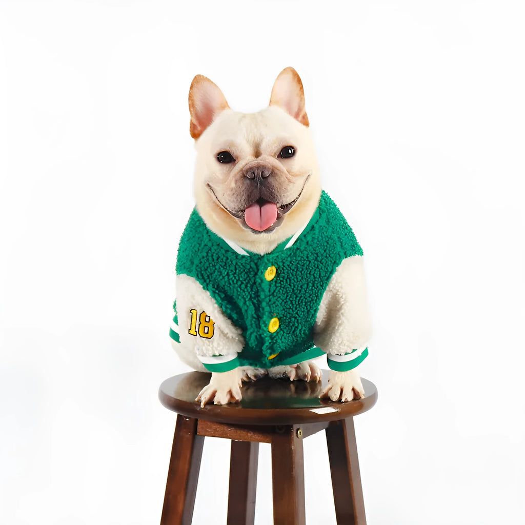 Green fleece-lined cotton dog winter coat showing front view on mannequin