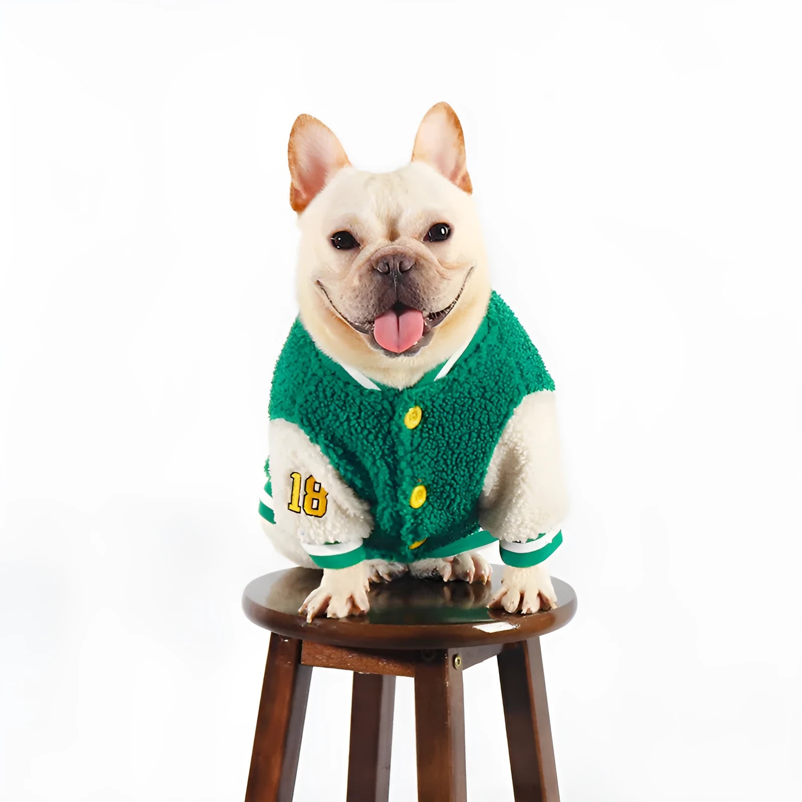 Green fleece-lined cotton dog winter coat showing front view on mannequin