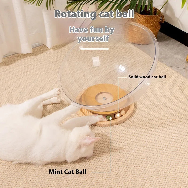 Transparent acrylic cat space capsule bathtub bed showing clear walls and capsule shape