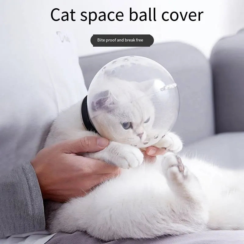 Transparent cat muzzle hood with adjustable velcro strap for veterinary and grooming use