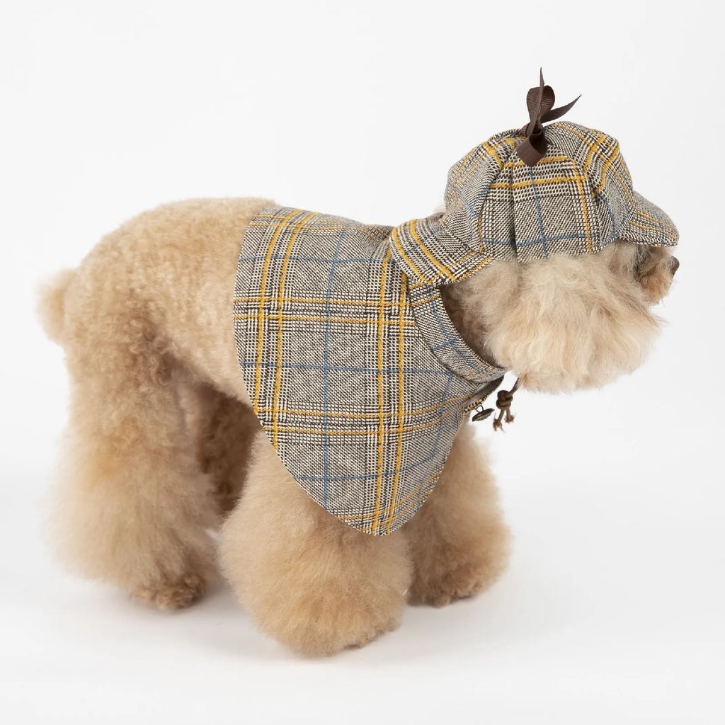 Camel-coloured cotton dog cloak with adjustable hood shown on a small breed dog.