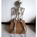 Full 170 cm tall plastic skeleton prop with detailed human skull standing upright