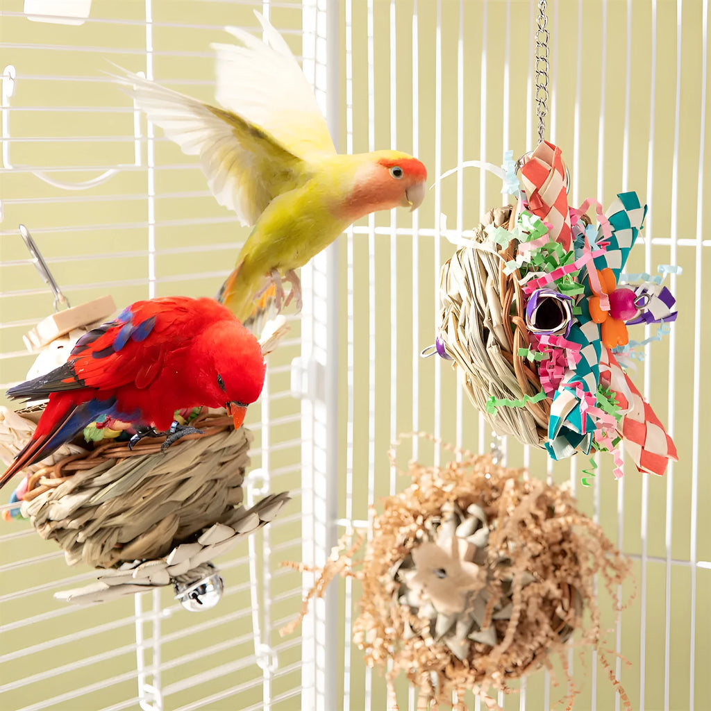 Three-piece parrot gnawing toy set for beak conditioning and enrichment
