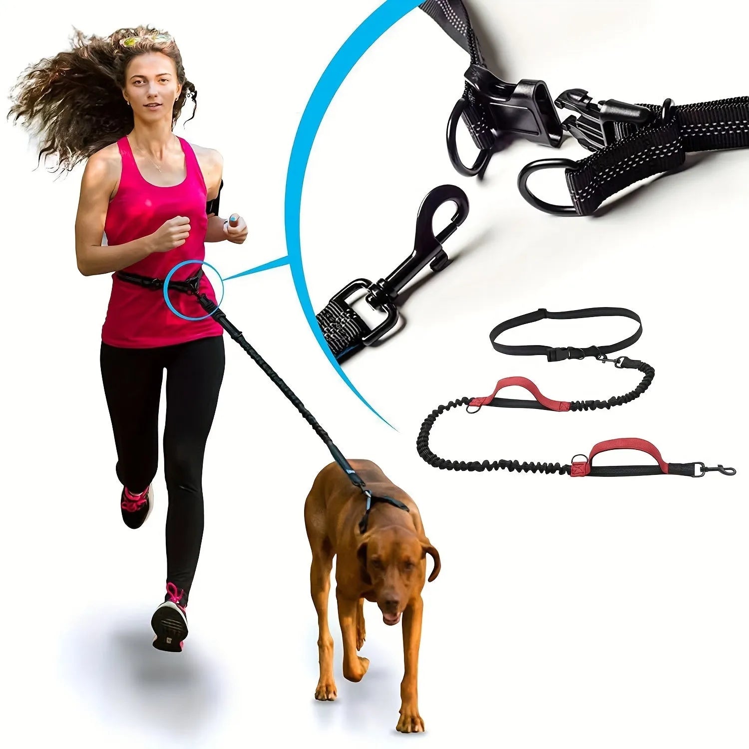 Hands-free dog leash with adjustable waist belt showing reflective trim and quick-release clip