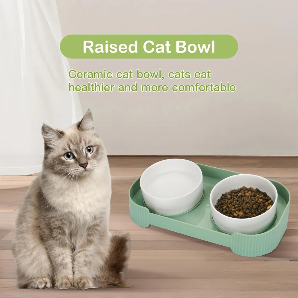Green ceramic raised cat feeding bowls set with tilted design on a non-slip stand