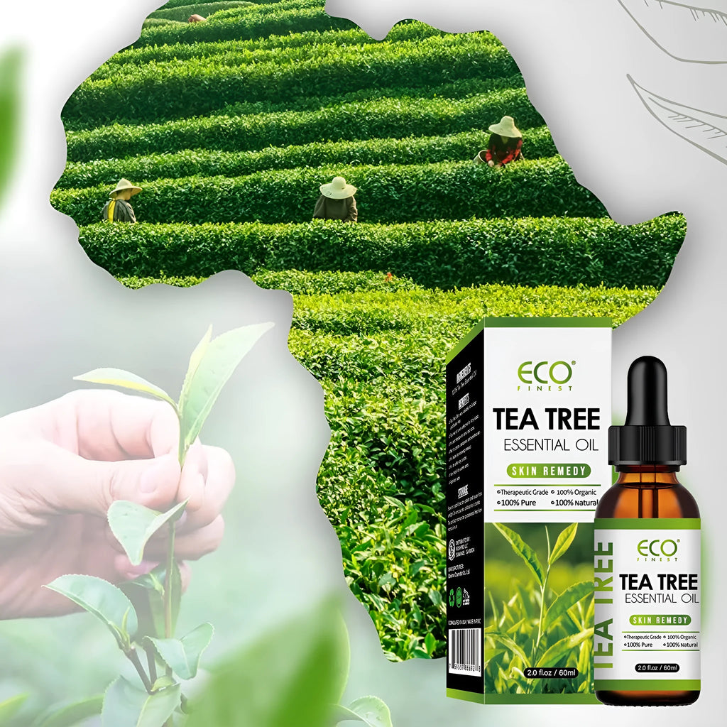 Tea tree oil essential oil bottle 60ml for acne skincare and massage applications