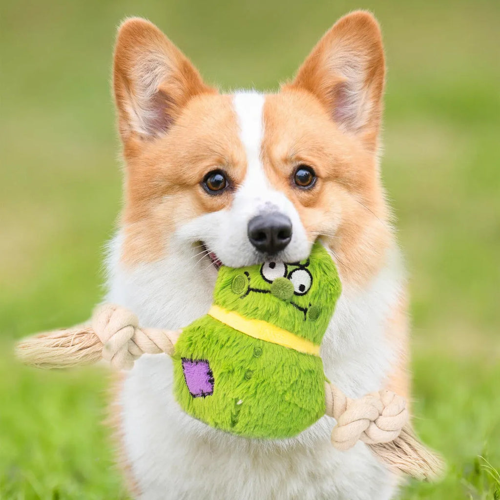 Green and purple interactive plush rope knot dog toy for tug of war and chewing.
