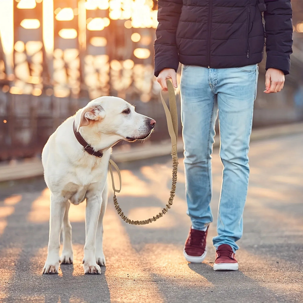 Retractable dog lead for large breeds extended to 5 metres, showing the handle, casing, and reflective stitching.