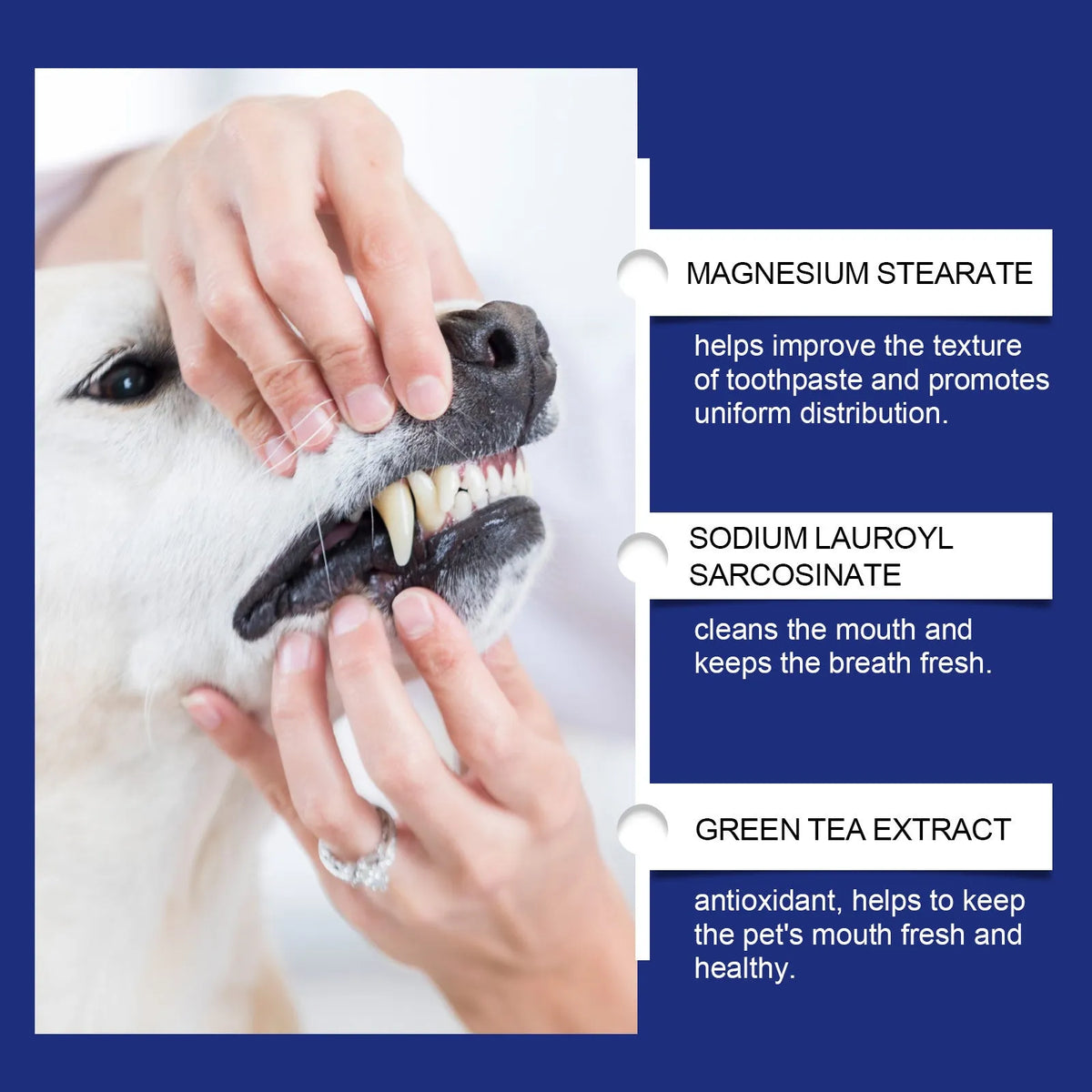 Pet teeth cleaning powder 40g tub with sodium bicarbonate and green tea extract for dog and cat dental care