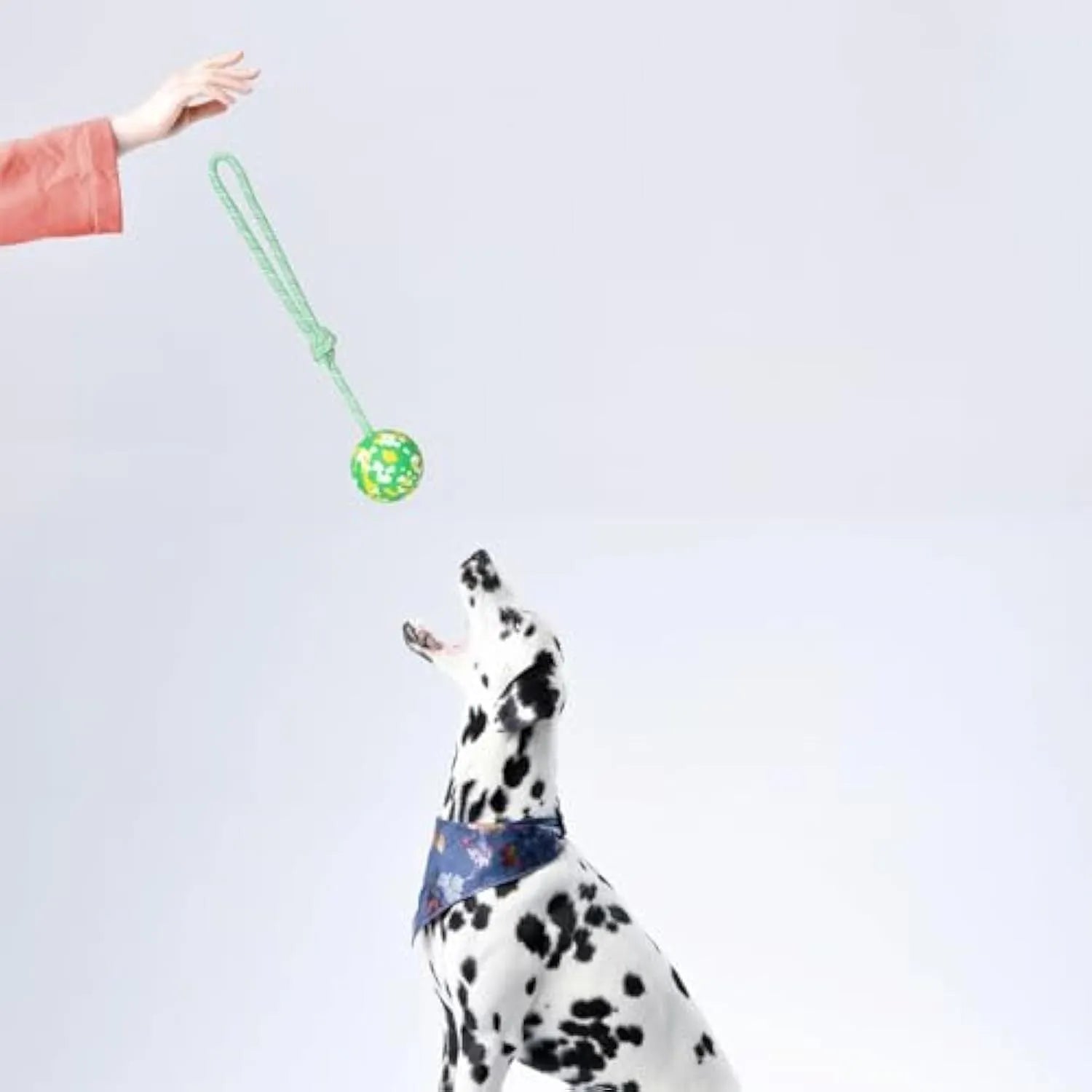 Natural rubber dog ball on nylon rope for interactive fetch and tug games