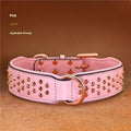 A brown leather dog collar with a row of shiny brass anti-bite rivets and a metal D-ring.