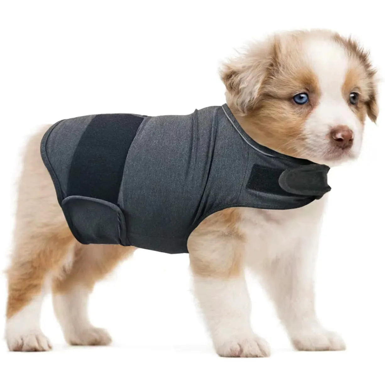 Brown brocade cotton dog anxiety tank top for separation relief, sized for medium dogs.
