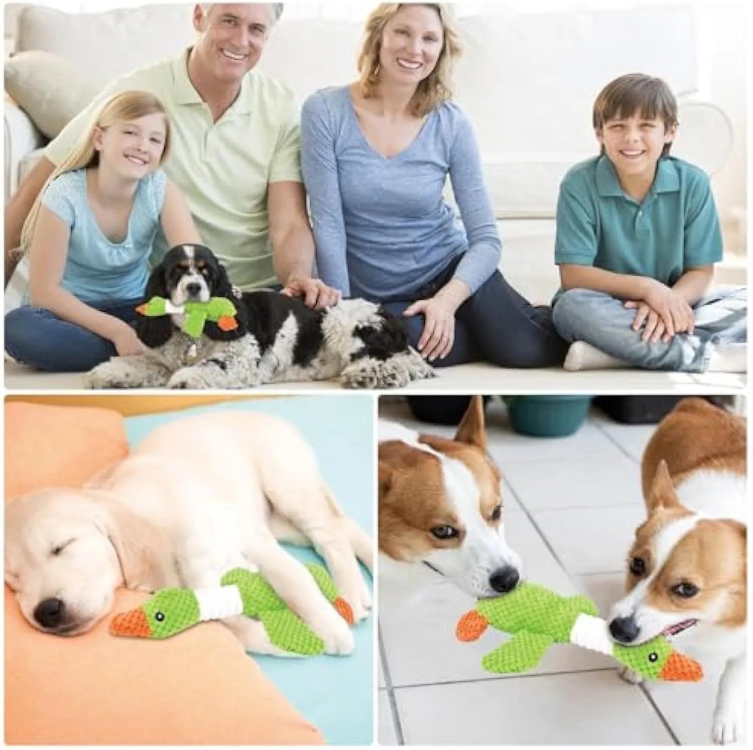 Blue plush duck dog toy with squeakers for chewing and fetch play.