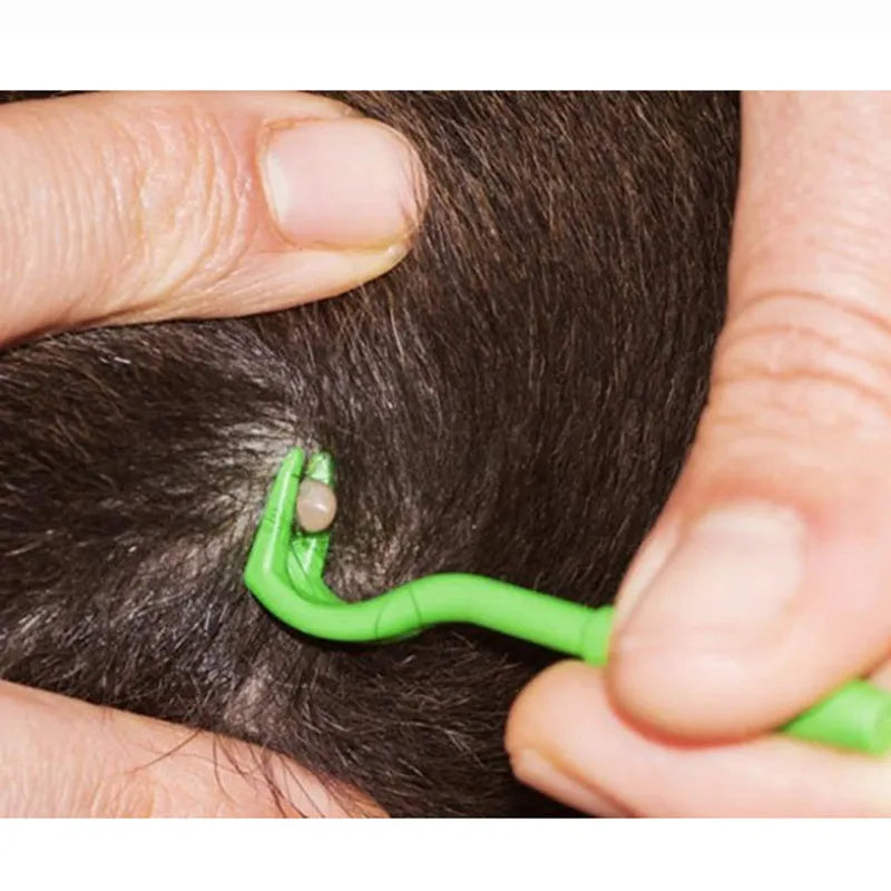 Three plastic pet tick removal clips in blue or green colours for dog and cat grooming