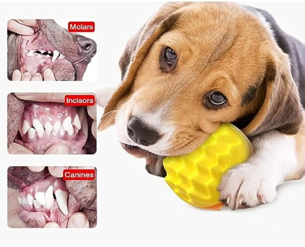 Blue and orange squeaky dog ball toy with spiky dental cleaning surface for aggressive chewers