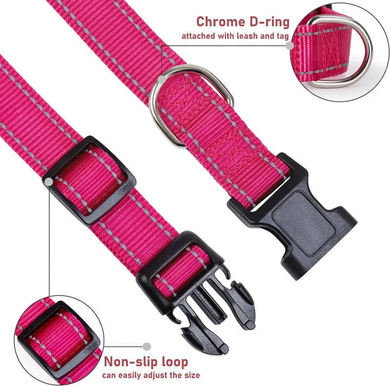 Adjustable nylon dog collar with chest strap in multiple colour options