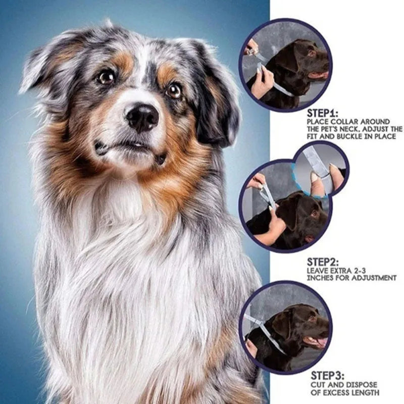 Rainbow plastic flea preventing collar for cats and dogs in 38cm and 62cm sizes