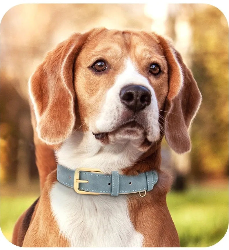Double-layer leather dog collar with mohair trim and matching lead in blue, shown on a size chart.