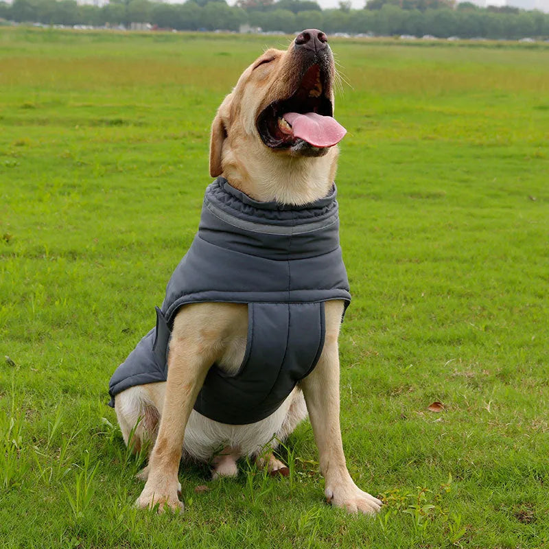 Cold-proof rain-proof pet coat for big dogs in grey trench style outdoor