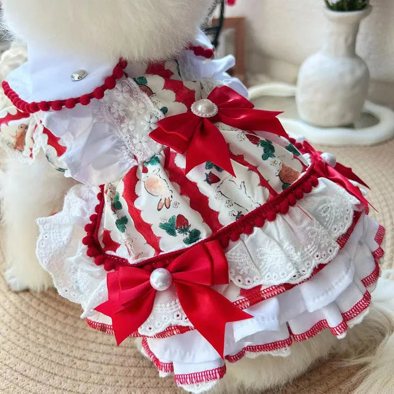 Small white dog wearing a pink rabbit-themed princess skirt with layered fabric.