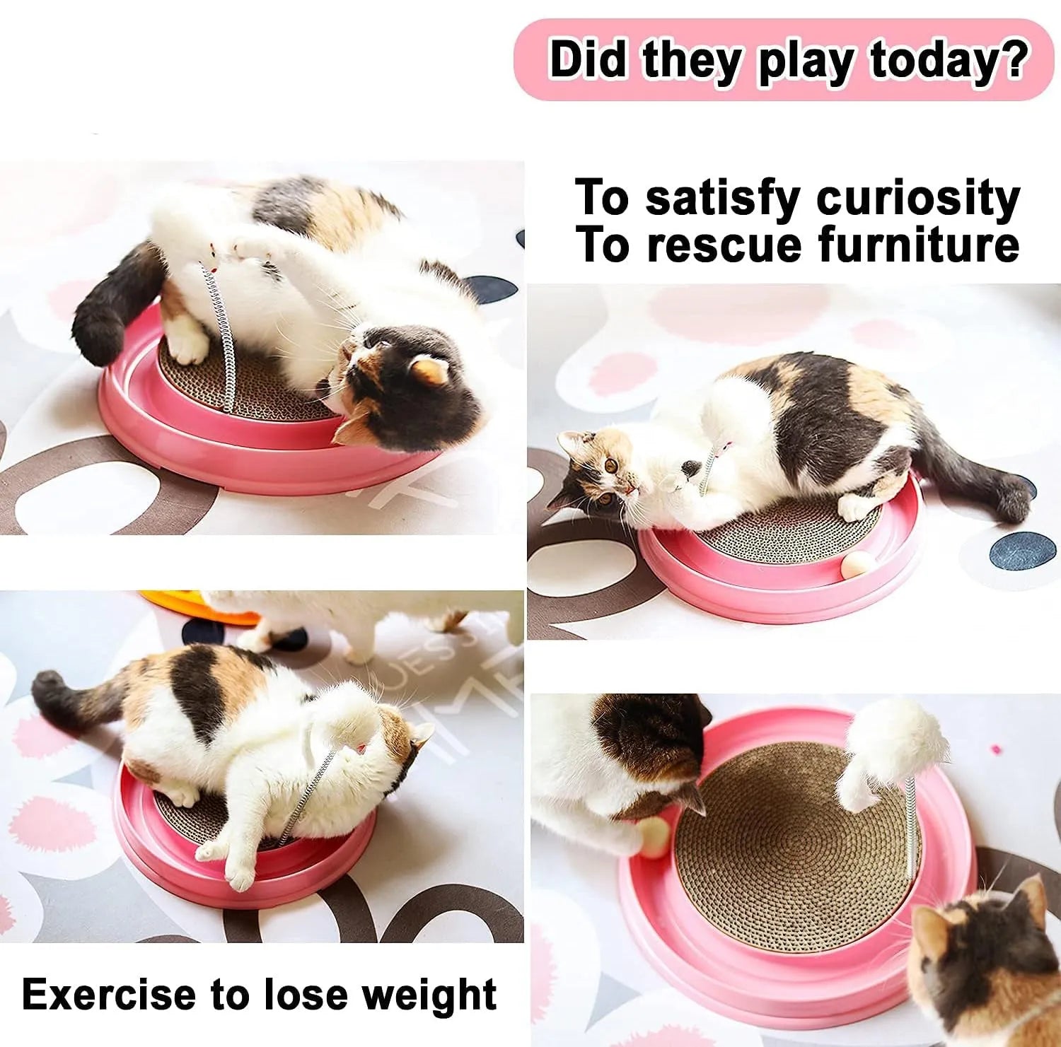 Blue interactive cat scratcher toy with ball in track and replaceable cardboard pad.