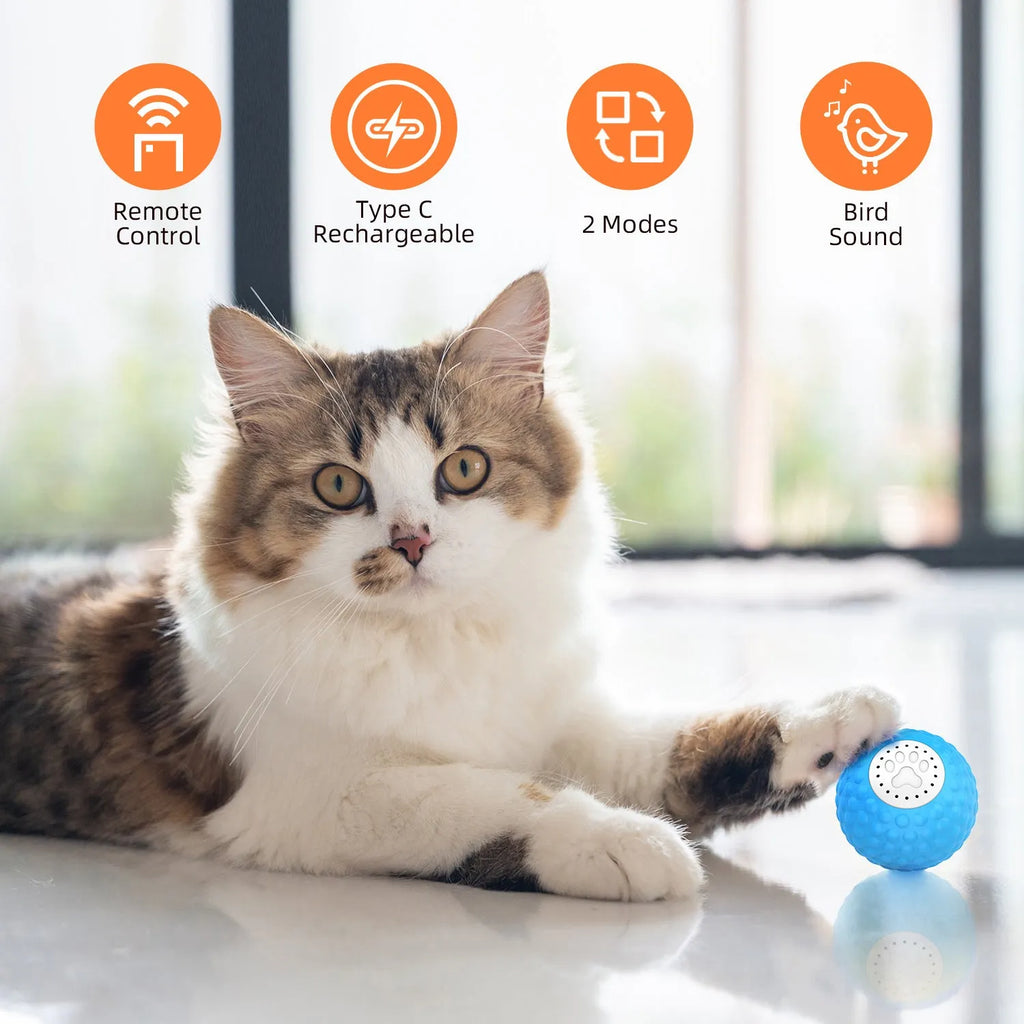 Remote controlled smart cat ball toy with LED lights in blue, green, and yellow colour options