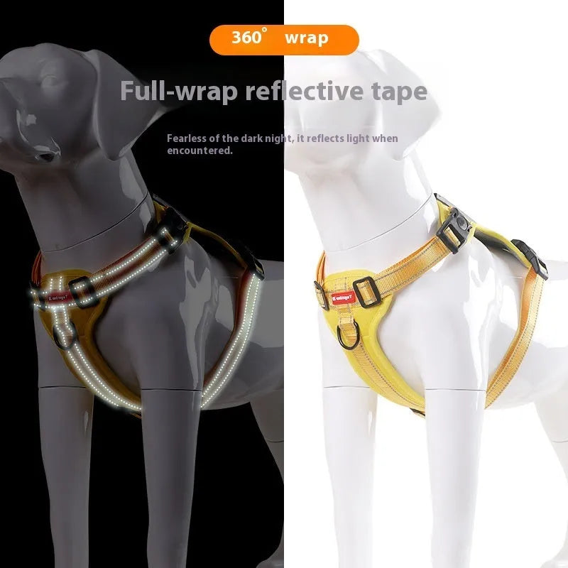 A coloured polyester dog chest harness with an attached leash, shown in size options XS to XL.