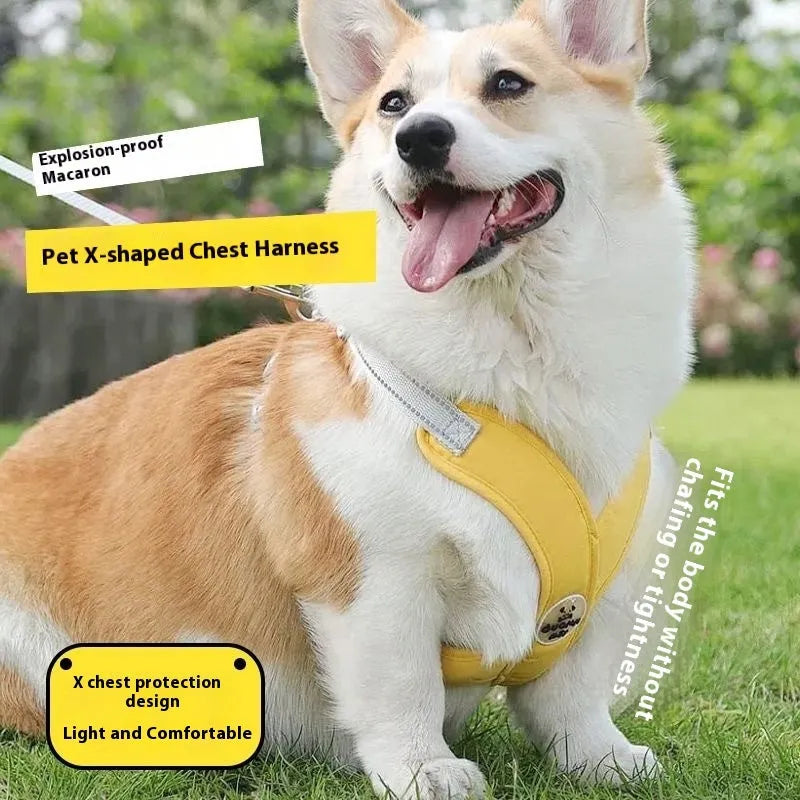 Pink polyester dog vest with an attached hand holding rope laid flat