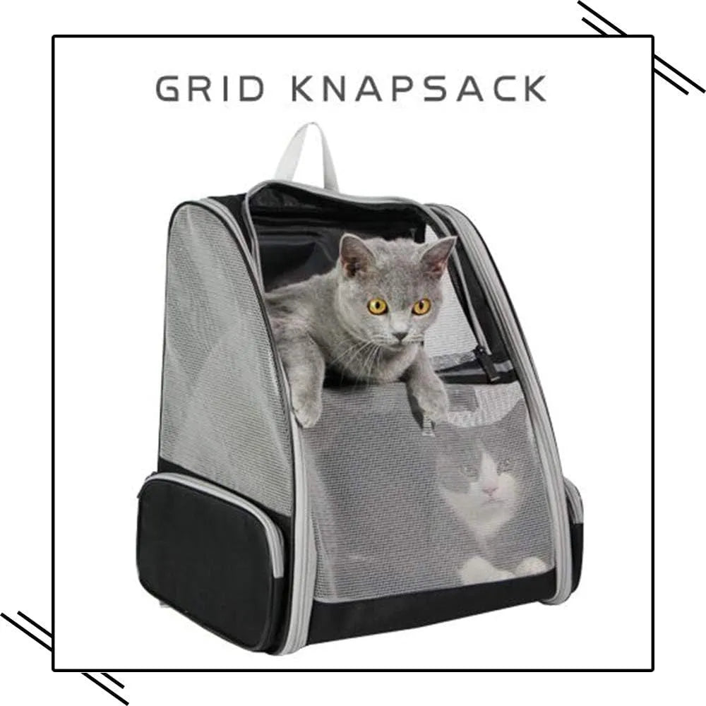 Grey or pink PVC mesh pet carrier backpack for cats and small dogs, 42cm x 31cm x 5cm, with chest buckles and removable mat.