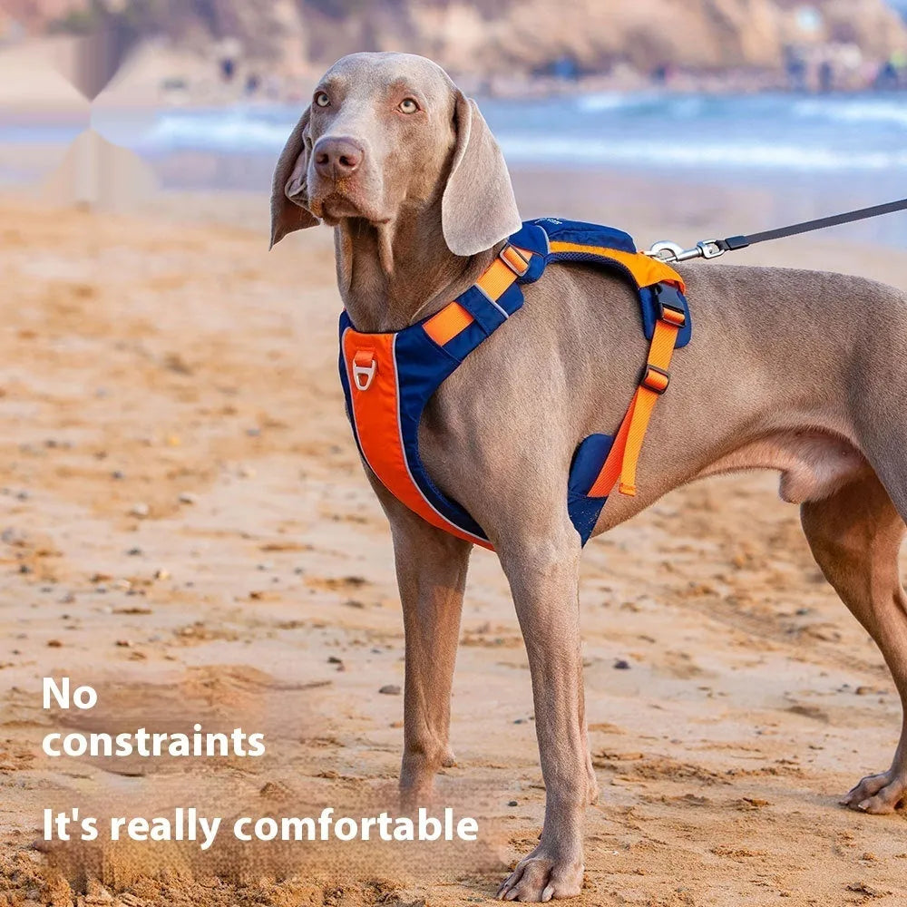 Adjustable nylon dog chest strap harness in vest style with hand rope attachment in orange blue colour