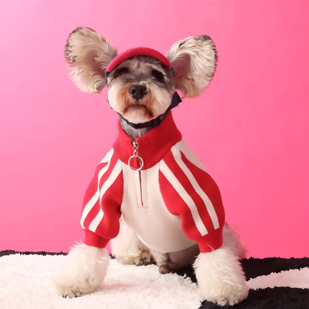 Red wool blend dog sweater cardigan on canine model showing casual sports-style design