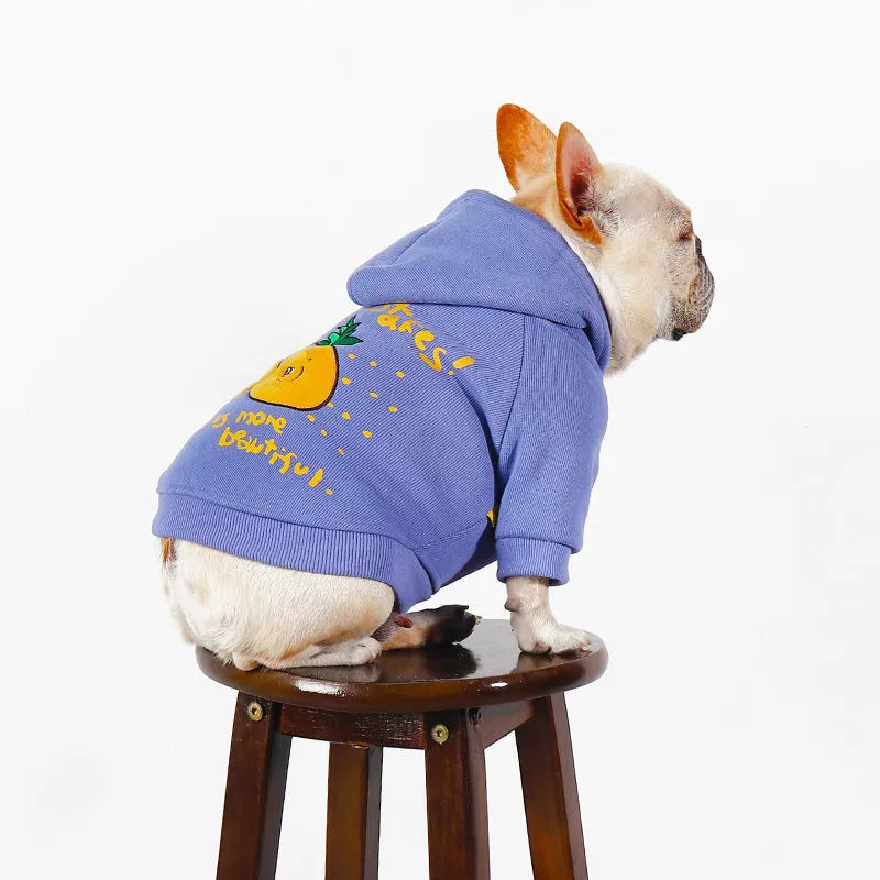 Blue and purple cotton pet hoodie with cartoon print for winter wear