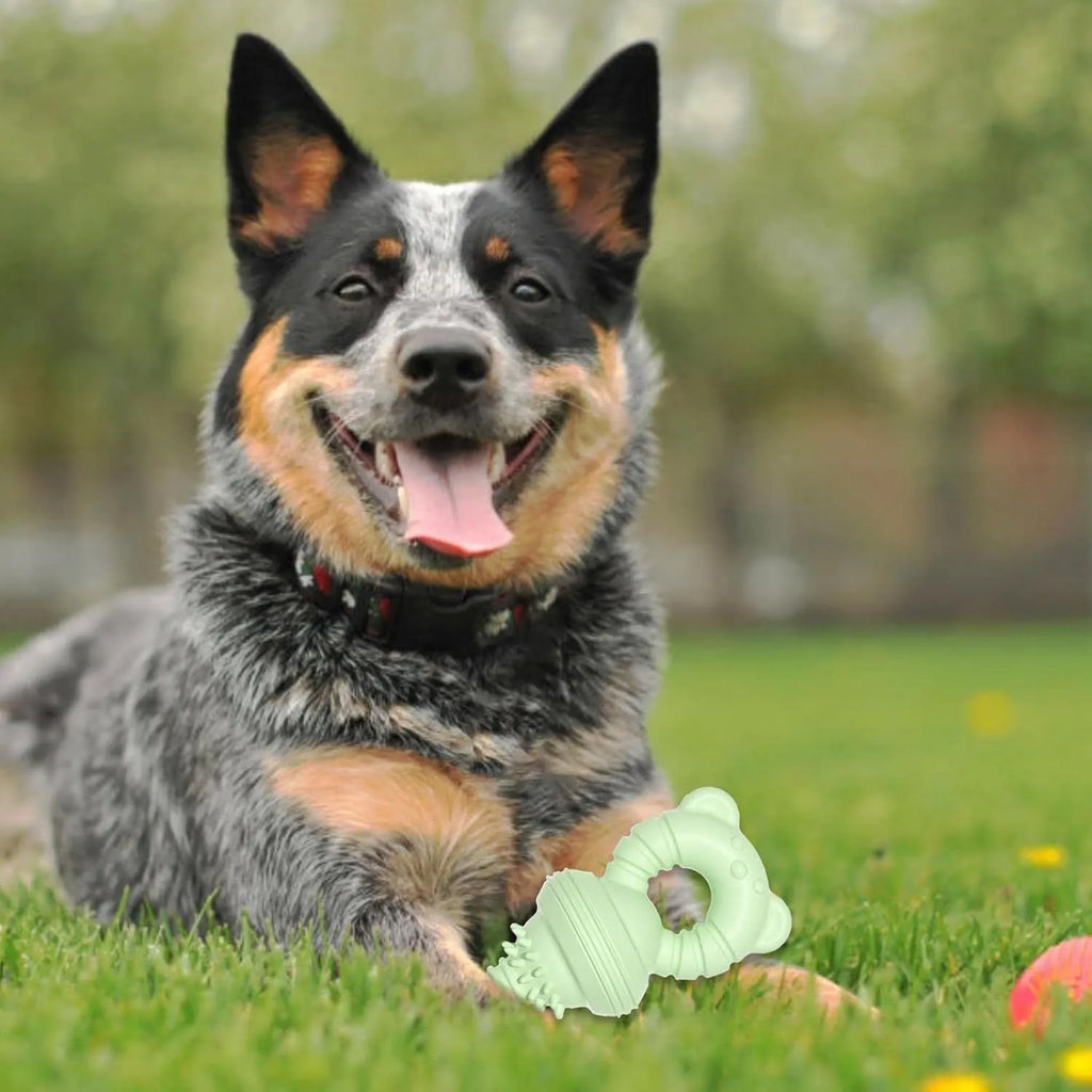 Blue rubber dog chew toy with concave-convex texture and a bell, for aggressive chewers and teeth cleaning.