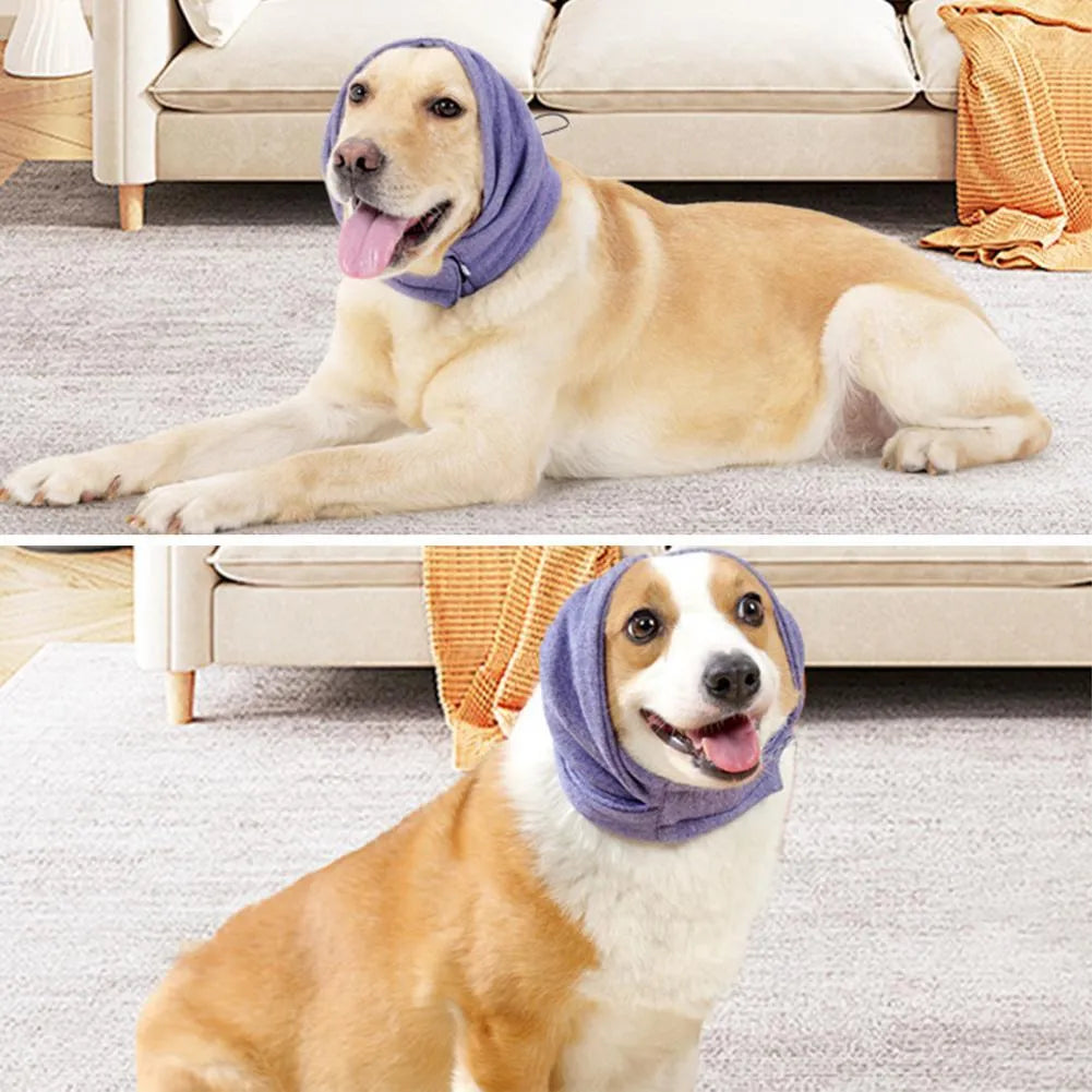 Dog wearing black calming hoodie covering ears with multi-purpose design for noise reduction and hair management