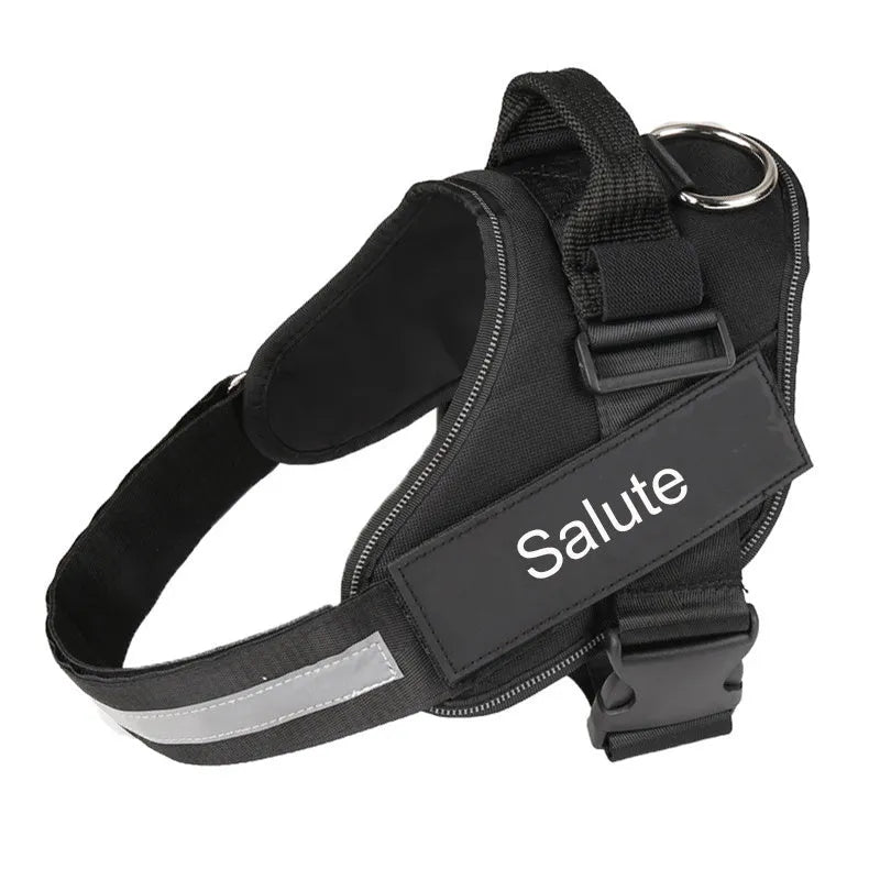 Personalised reflective nylon no-pull dog harness vest on a dog, showing adjustable straps and D-ring.