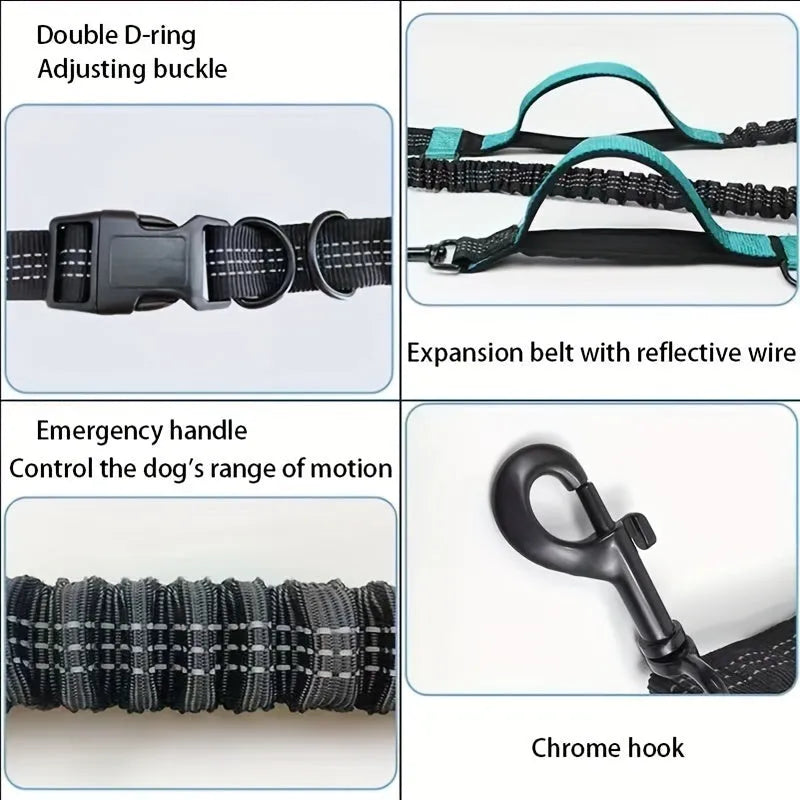 Hands-free dog leash with adjustable waist belt showing reflective trim and quick-release clip