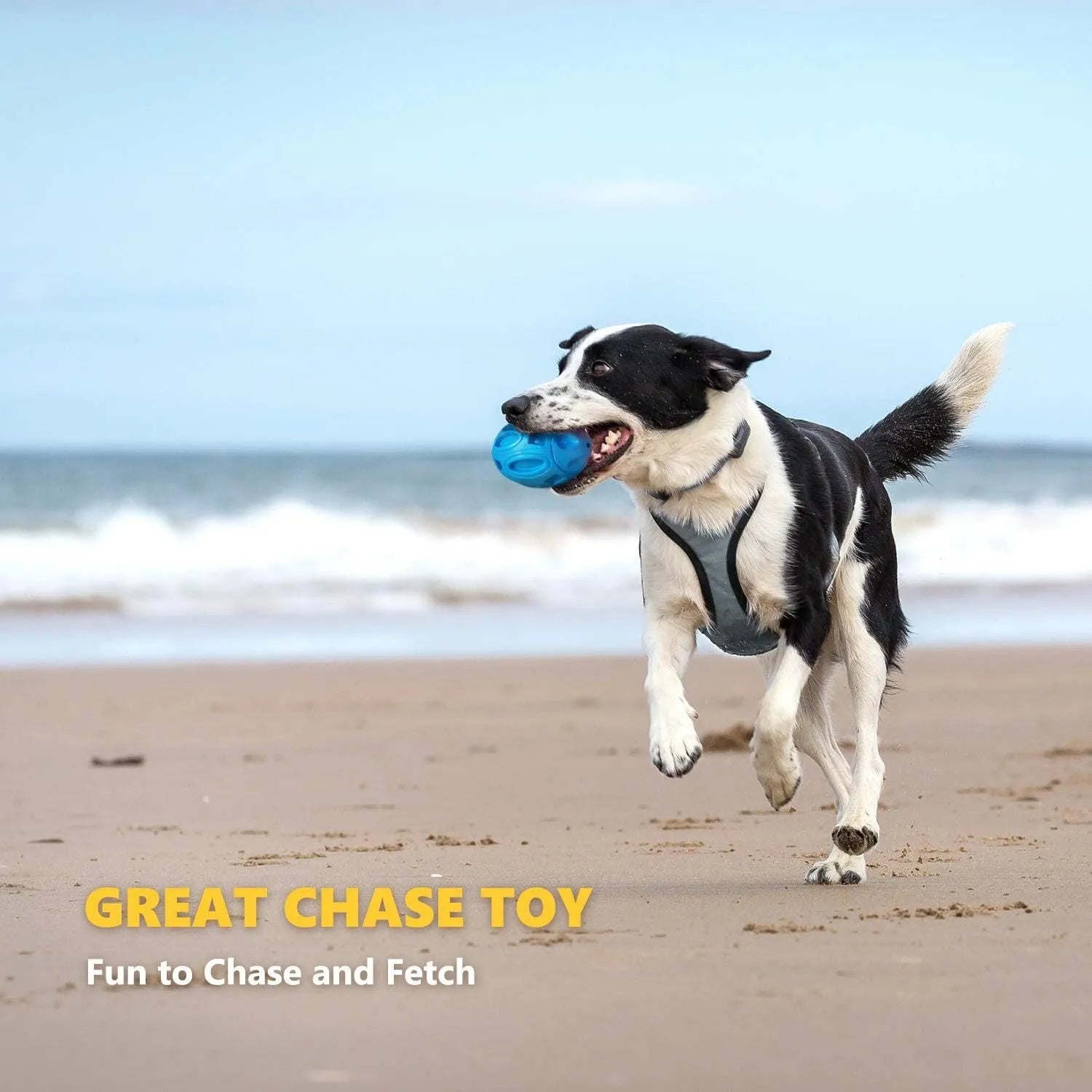 Blue, green, and orange natural rubber squeaky dog chew ball with surface grooves.