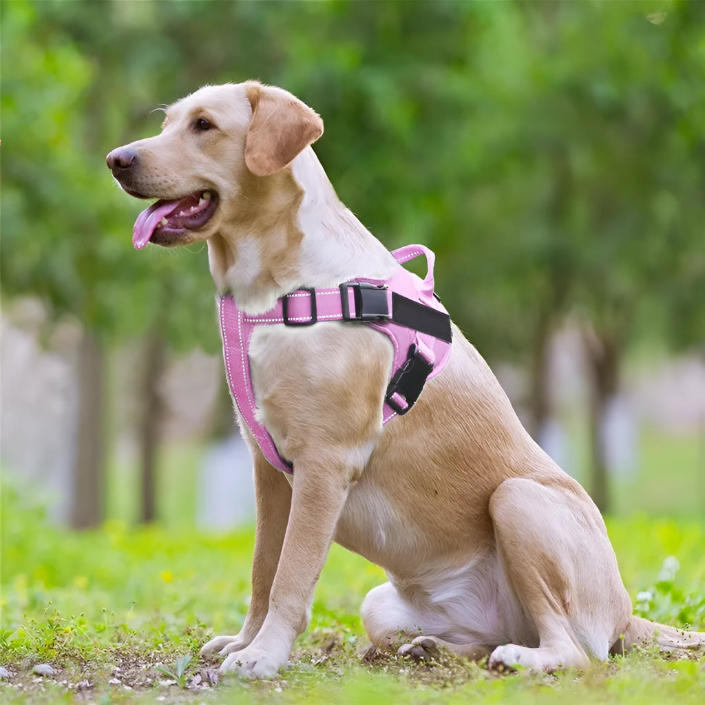 Dog vest chest strap leash harness in Oxford cloth with reflective stripes and breathable mesh, available in five colours.