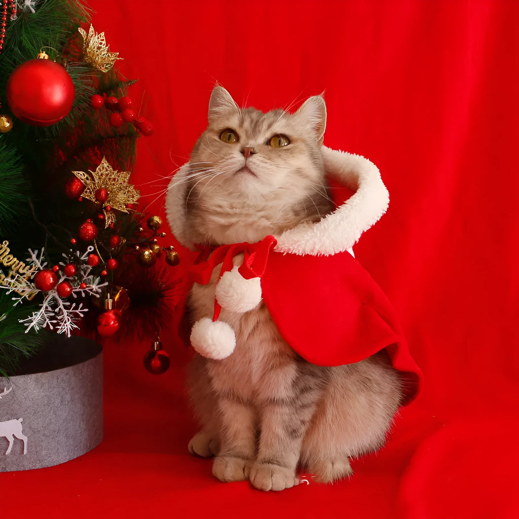 A dog wearing a red polar fleece Christmas cloak with a hood, a festive pet winter garment.