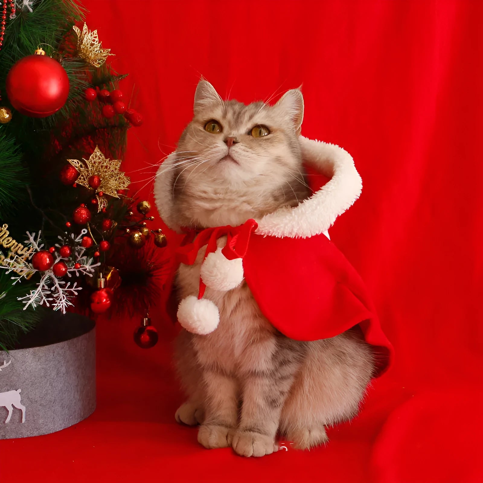 A dog wearing a red polar fleece Christmas cloak with a hood, a festive pet winter garment.