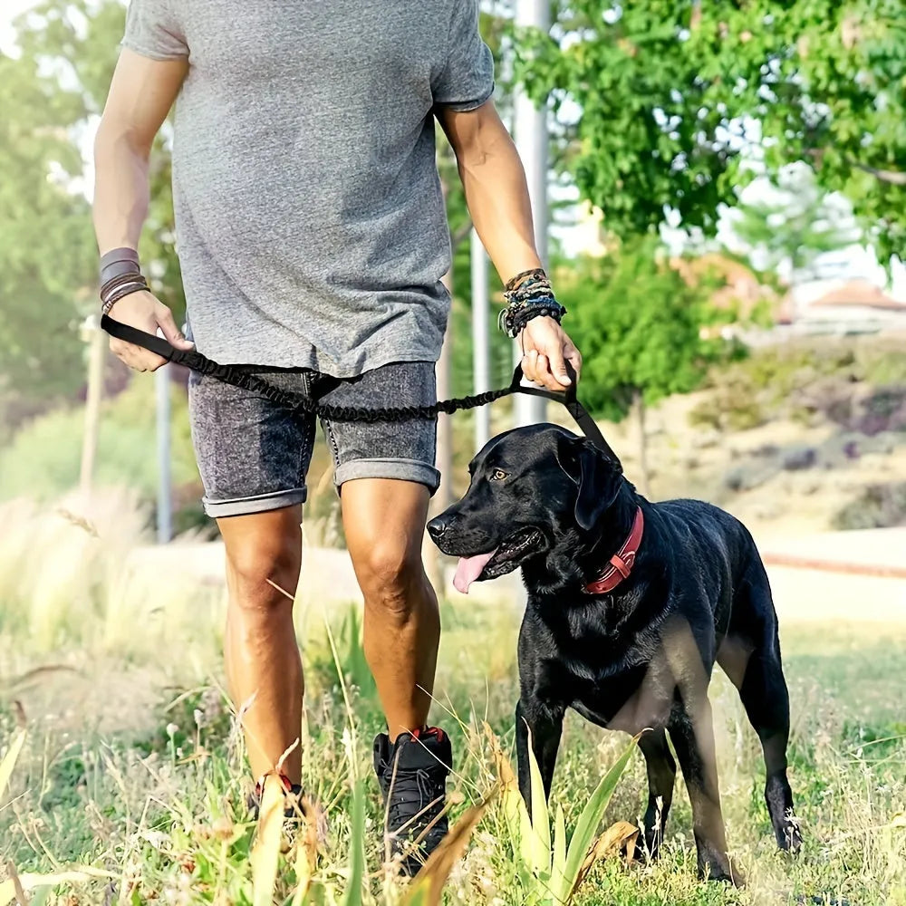 Retractable dog lead for large breeds extended to 5 metres, showing the handle, casing, and reflective stitching.