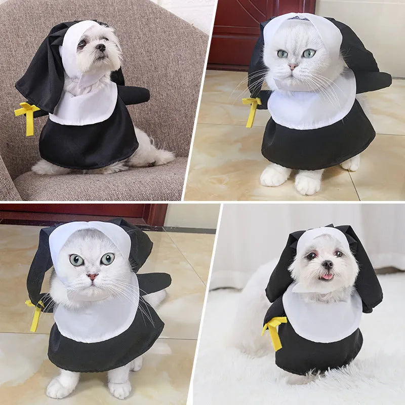Black polyester nun Halloween costume on small dog showing complete habit design