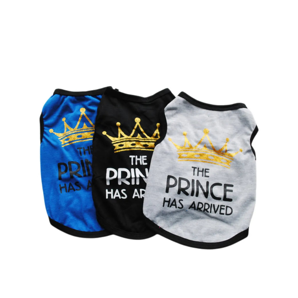 A cotton vest for puppies in a choice of colours including black, blue, gray, pink, and rose.