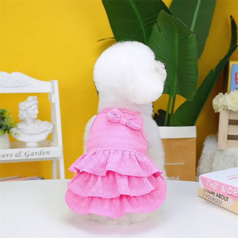 Small white dog wearing a rose red layered princess dress with a candy skirt design