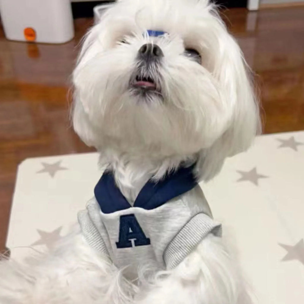 Blue and white reflective letter pet hoodie for cats and dogs in slim-fitting polyester