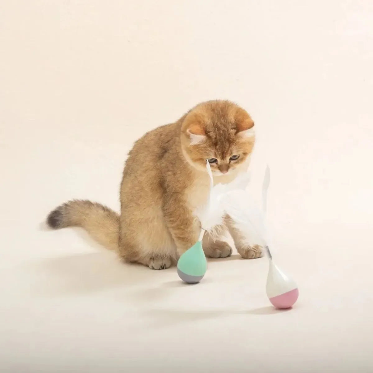 Feather tumbler cat toy with rolling ball and goose feather tease stick on a coloured background.