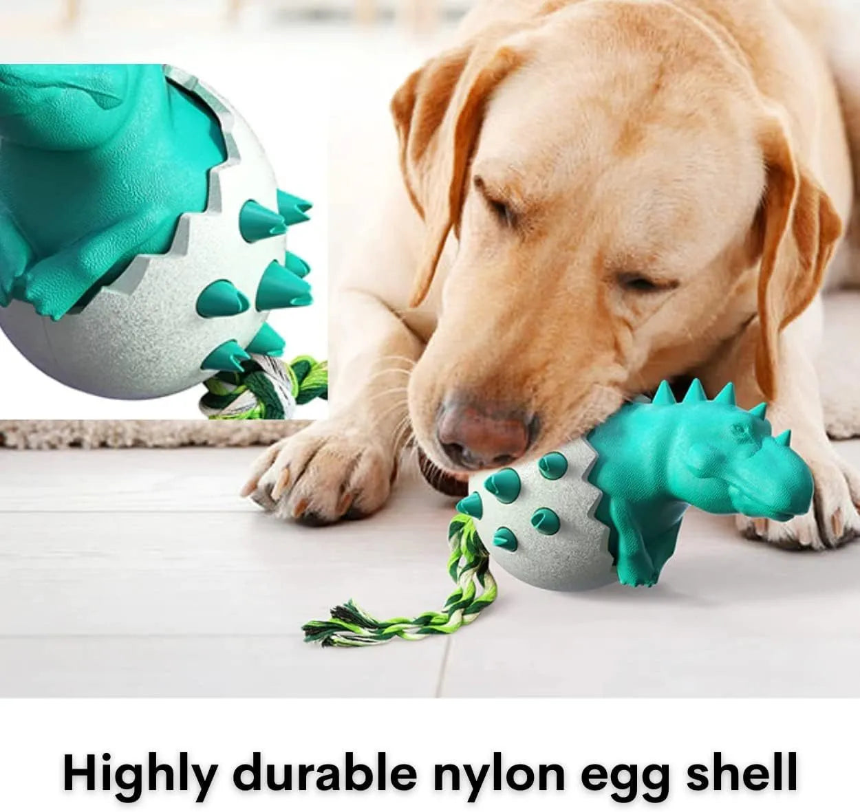 Blue durable rubber dino dog chew toy with attached nylon rope for aggressive chewers.