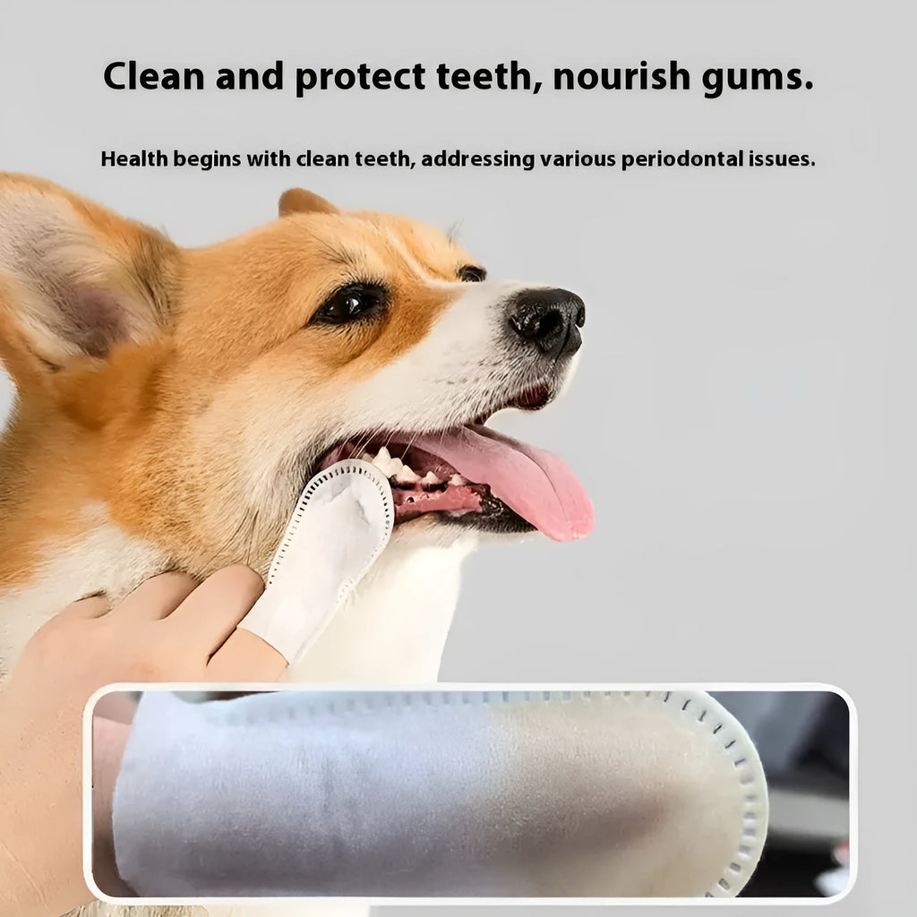 Pack of 50 disposable non-woven fabric finger cots for cleaning cat and dog teeth