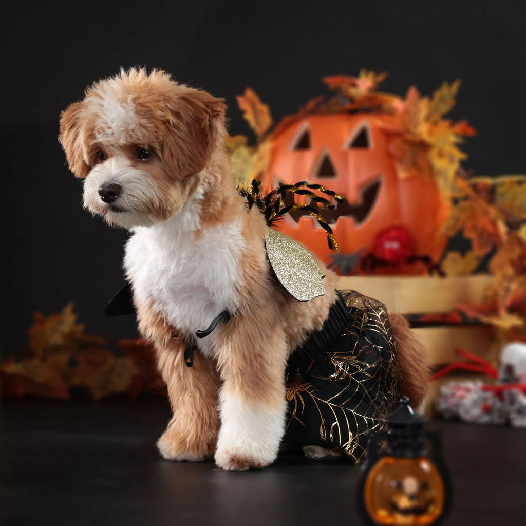 Polyester dog costume suit for Halloween parties in sizes small, medium, large, extra-large.