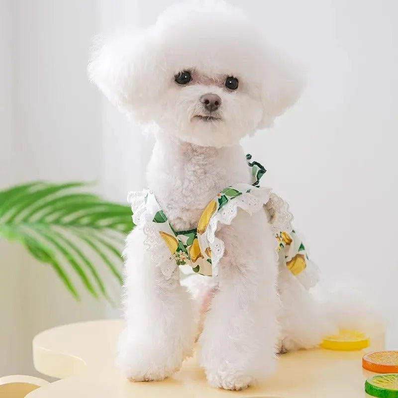 Rock yellow lemon polyester dog dress skirt with adjustable straps on small dog